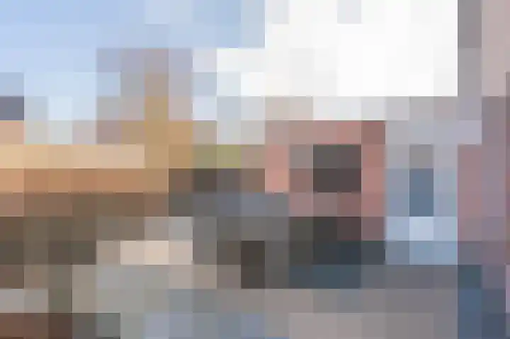 Zonnedauw 9 Nieuwlande thumbnail 40