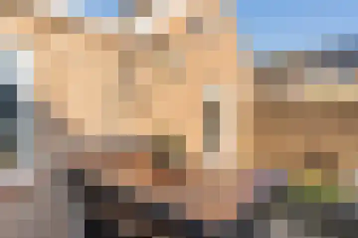 Zonnedauw 9 Nieuwlande thumbnail 42
