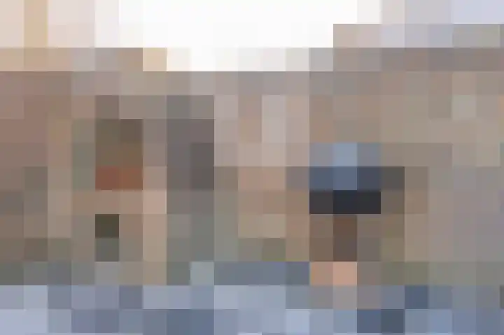 Zonnedauw 9 Nieuwlande thumbnail 48