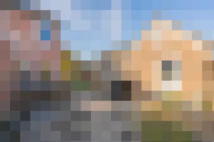 Zonnedauw 9 Nieuwlande thumbnail 49