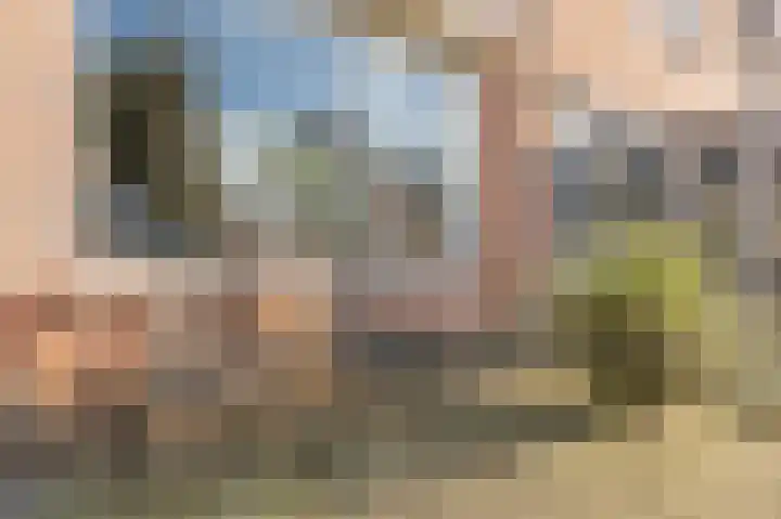 Zonnedauw 9 Nieuwlande thumbnail 5