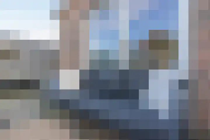 Zonnedauw 9 Nieuwlande thumbnail 52