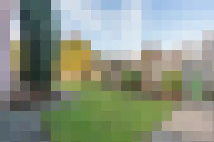 Zonnedauw 9 Nieuwlande thumbnail 54