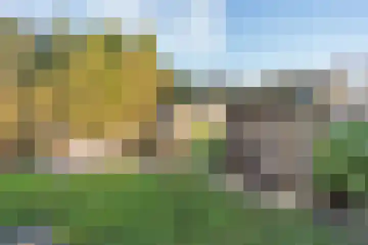 Zonnedauw 9 Nieuwlande thumbnail 57