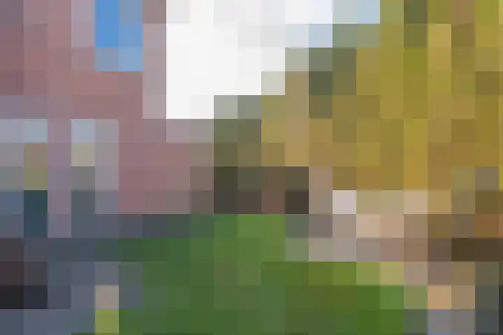 Zonnedauw 9 Nieuwlande thumbnail 59