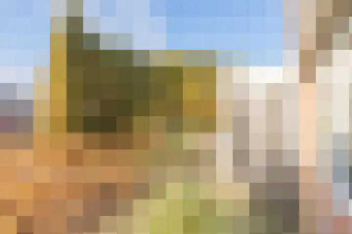 Zonnedauw 9 Nieuwlande thumbnail 6