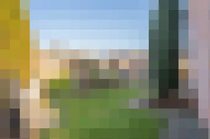 Zonnedauw 9 Nieuwlande thumbnail 60