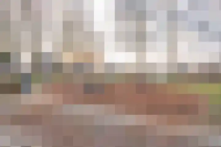 Zonnedauw 9 Nieuwlande thumbnail 65