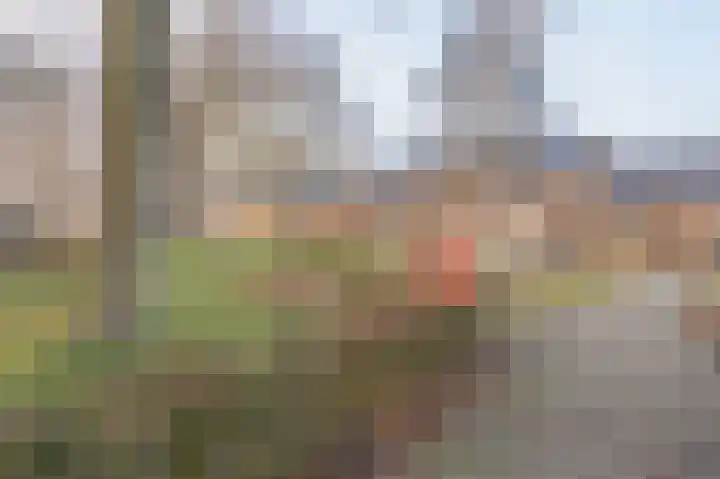 Zonnedauw 9 Nieuwlande thumbnail 66