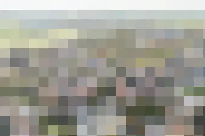 Zonnedauw 9 Nieuwlande thumbnail 68