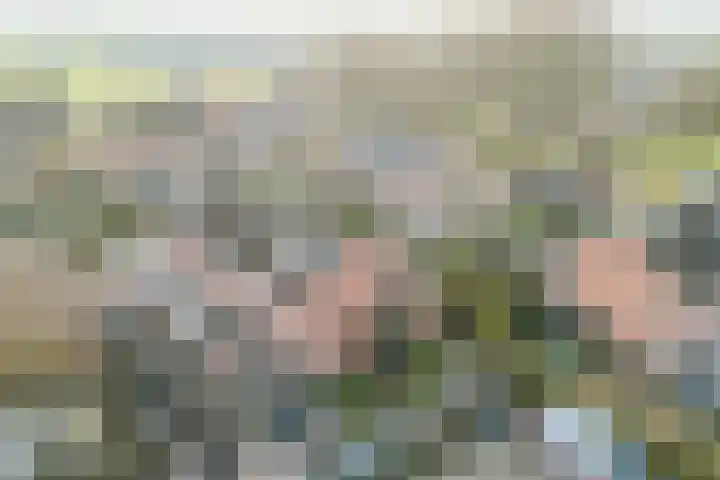 Zonnedauw 9 Nieuwlande thumbnail 69