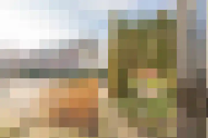 Zonnedauw 9 Nieuwlande thumbnail 7