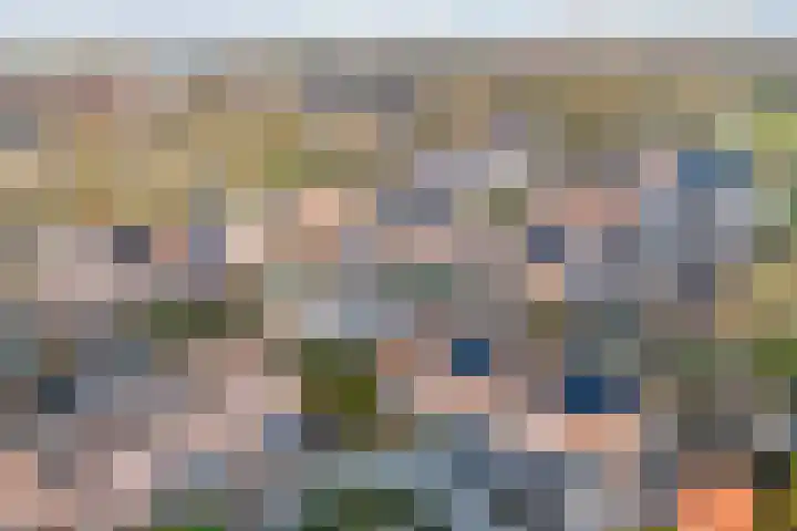 Zonnedauw 9 Nieuwlande thumbnail 70
