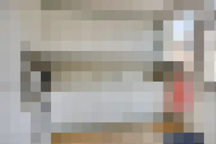 Zonnedauw 90 Boskoop thumbnail 11