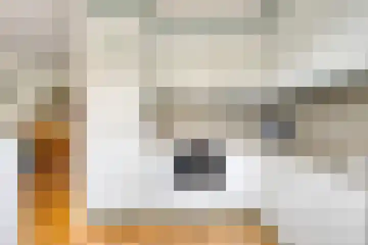 Zonnedauw 90 Boskoop thumbnail 12