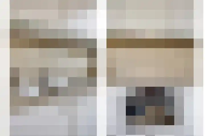 Zonnedauw 90 Boskoop thumbnail 13
