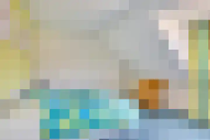Zonnedauw 90 Boskoop thumbnail 15