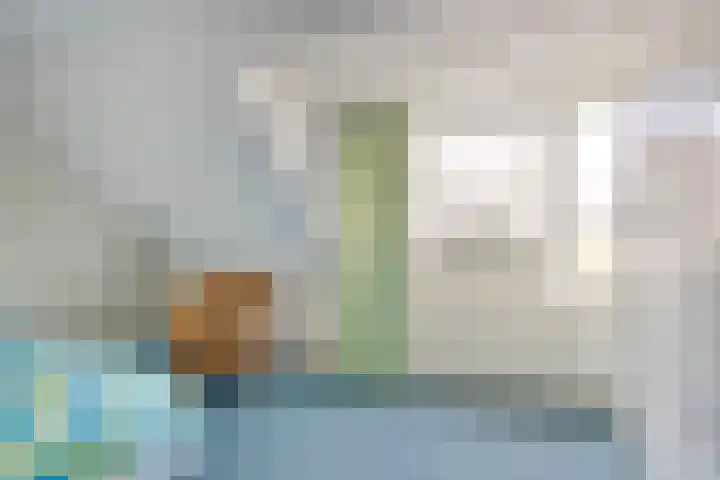 Zonnedauw 90 Boskoop thumbnail 16