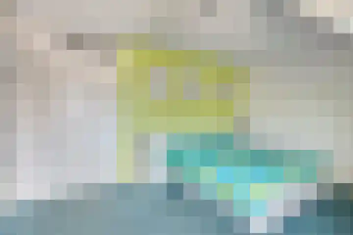 Zonnedauw 90 Boskoop thumbnail 17