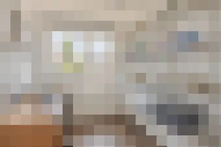 Zonnedauw 90 Boskoop thumbnail 20