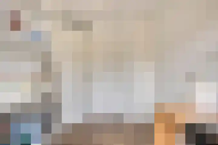 Zonnedauw 90 Boskoop thumbnail 21