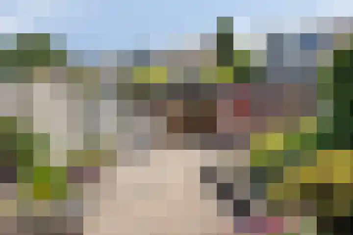 Zonnedauw 90 Boskoop thumbnail 26