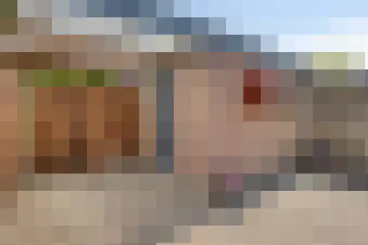 Zonnedauw 90 Boskoop thumbnail 27