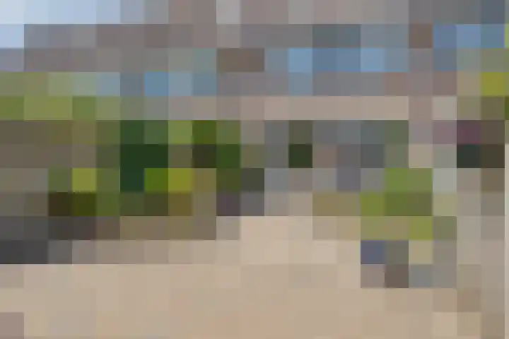 Zonnedauw 90 Boskoop thumbnail 28