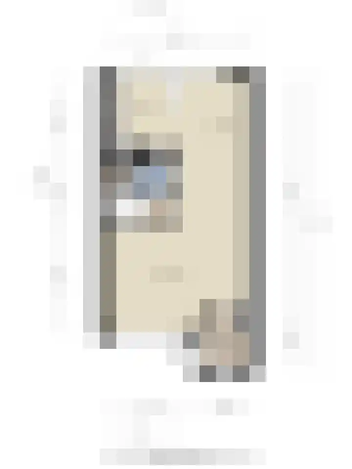 Zonnedauw 90 Boskoop thumbnail 30