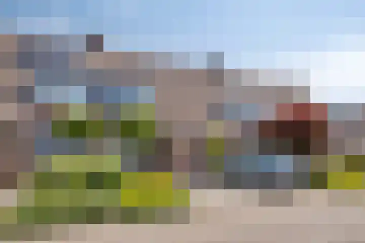 Zonnedauw 90 Boskoop thumbnail 34