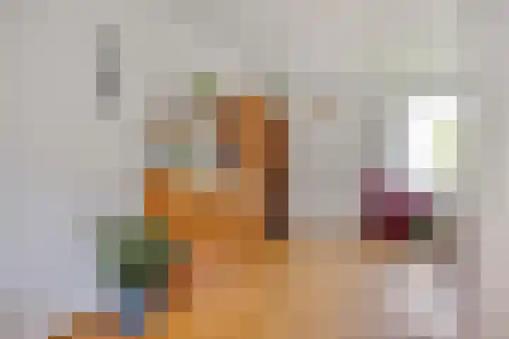 Zonnedauw 90 Boskoop thumbnail 7