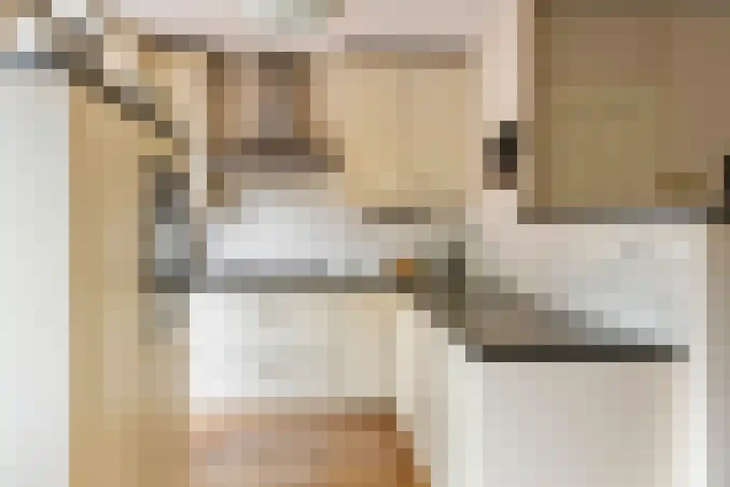 Zonnedauw 94 Tiel thumbnail 12