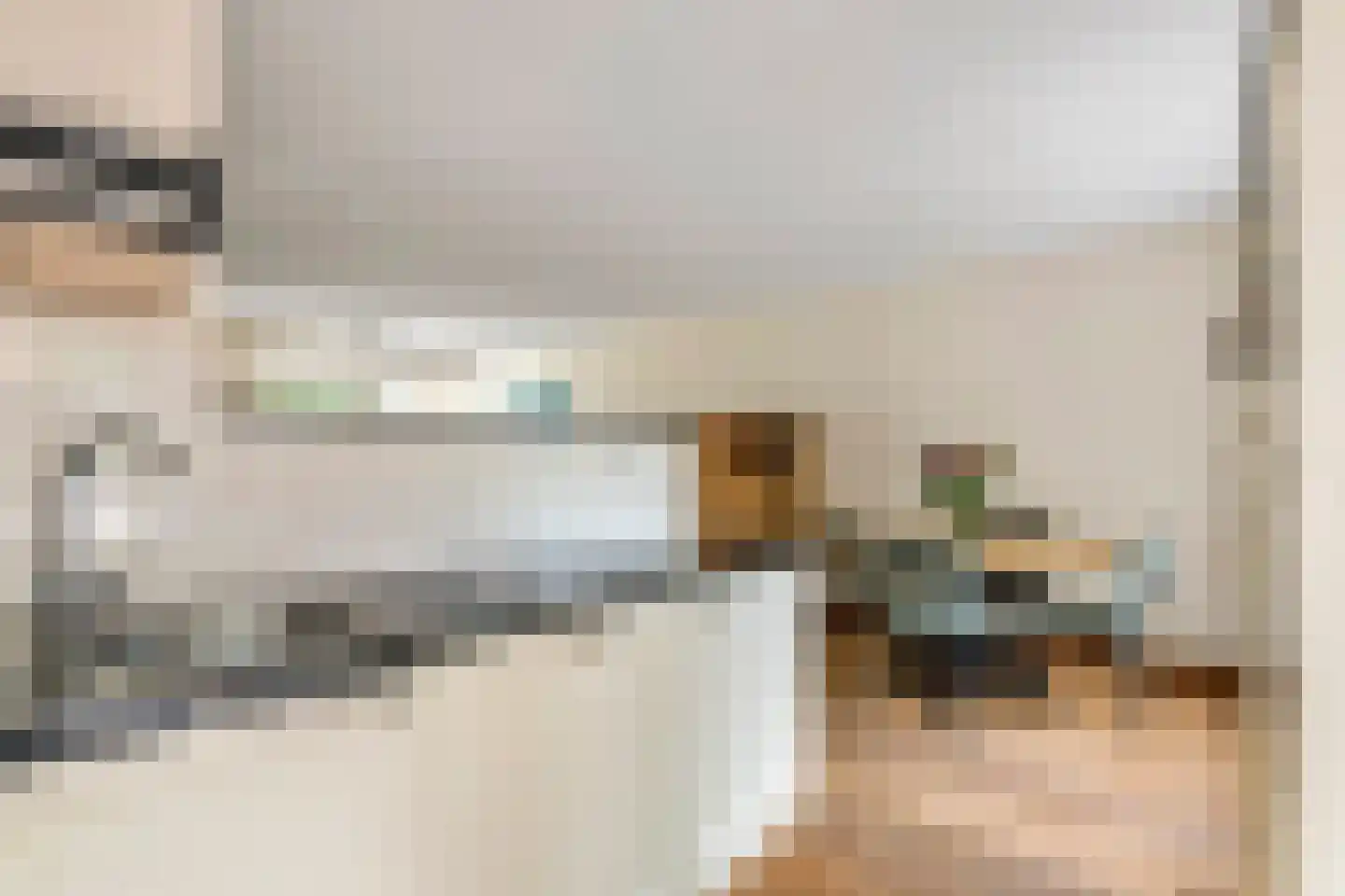 Zonnedauw 94 Tiel thumbnail 13