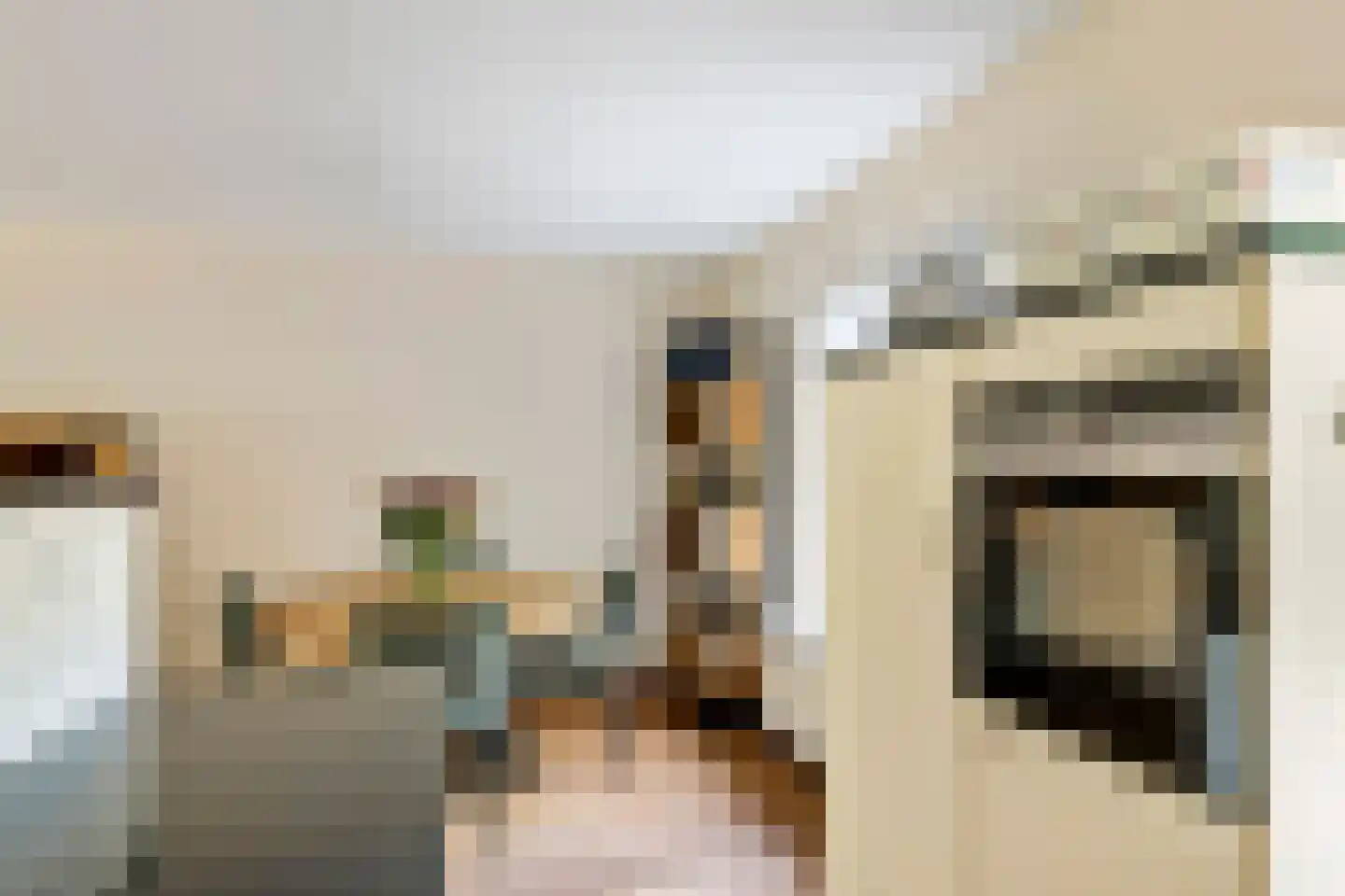 Zonnedauw 94 Tiel thumbnail 14