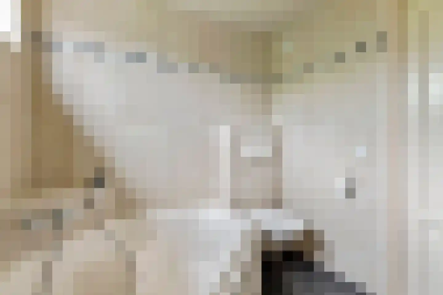 Zonnedauw 94 Tiel thumbnail 21