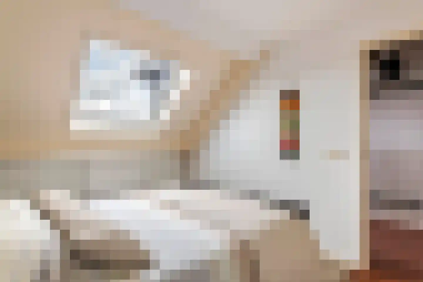 Zonnedauw 94 Tiel thumbnail 24