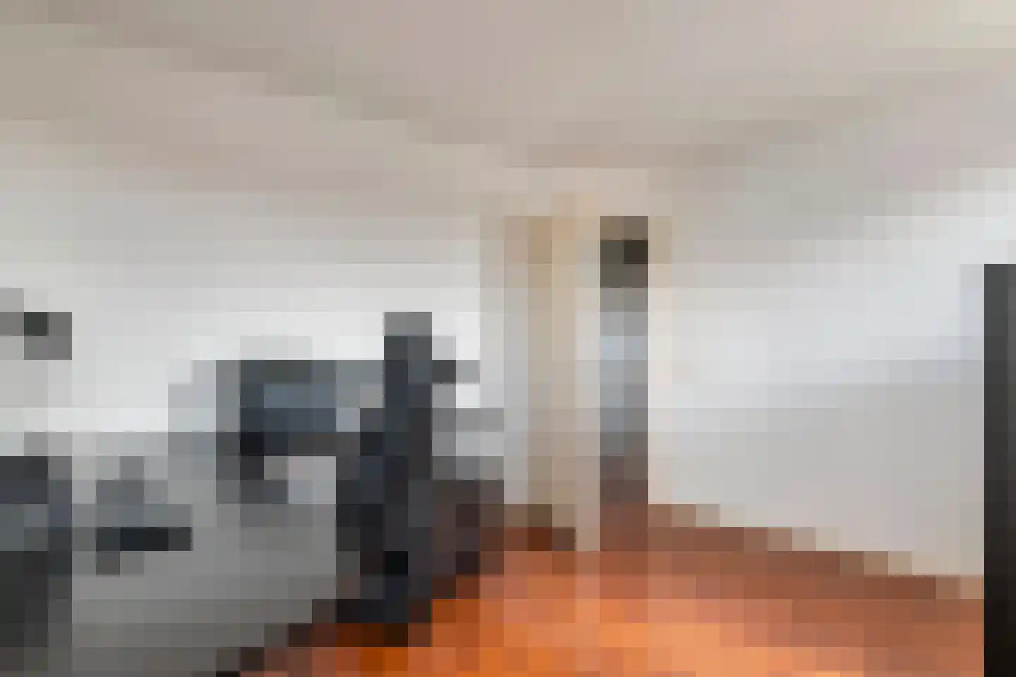 Zonnedauw 94 Tiel thumbnail 28