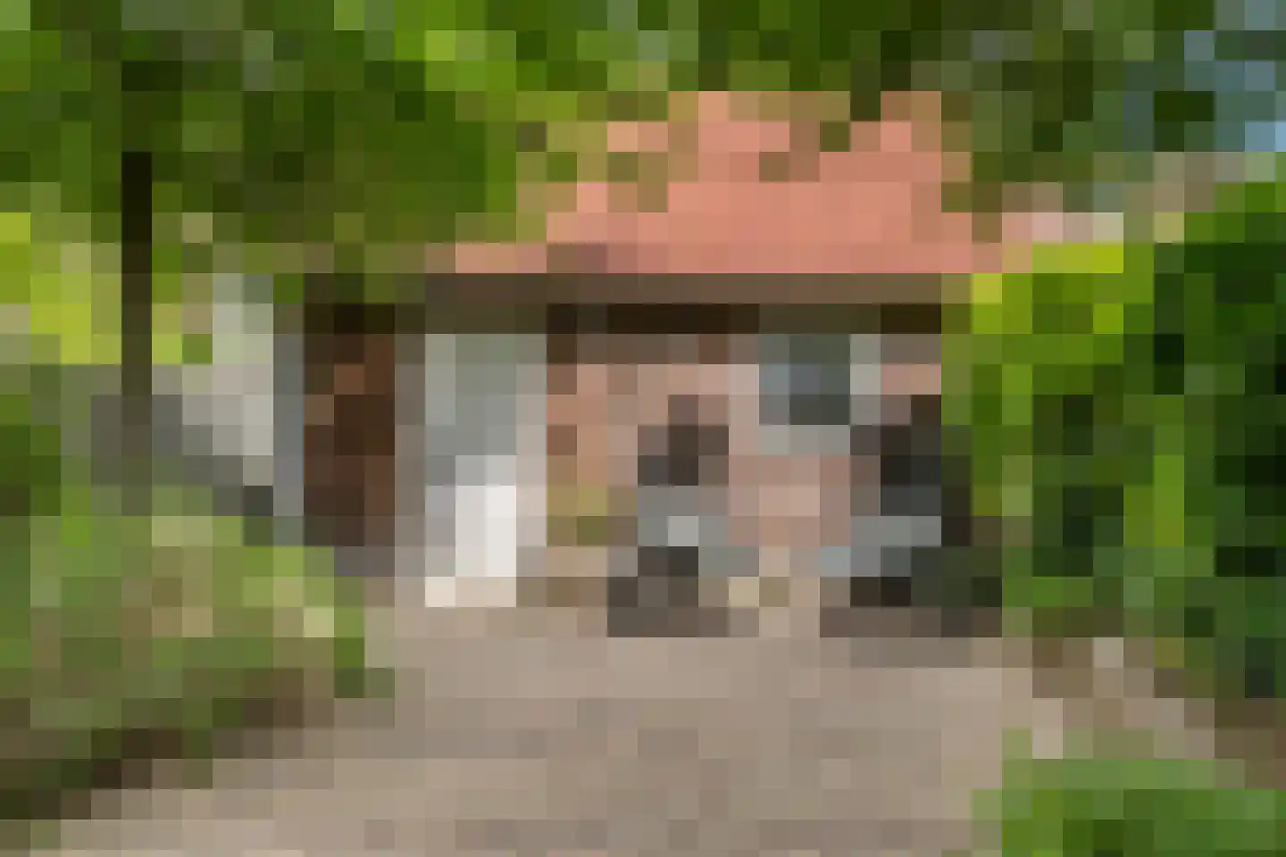 Zonnedauw 94 Tiel thumbnail 31