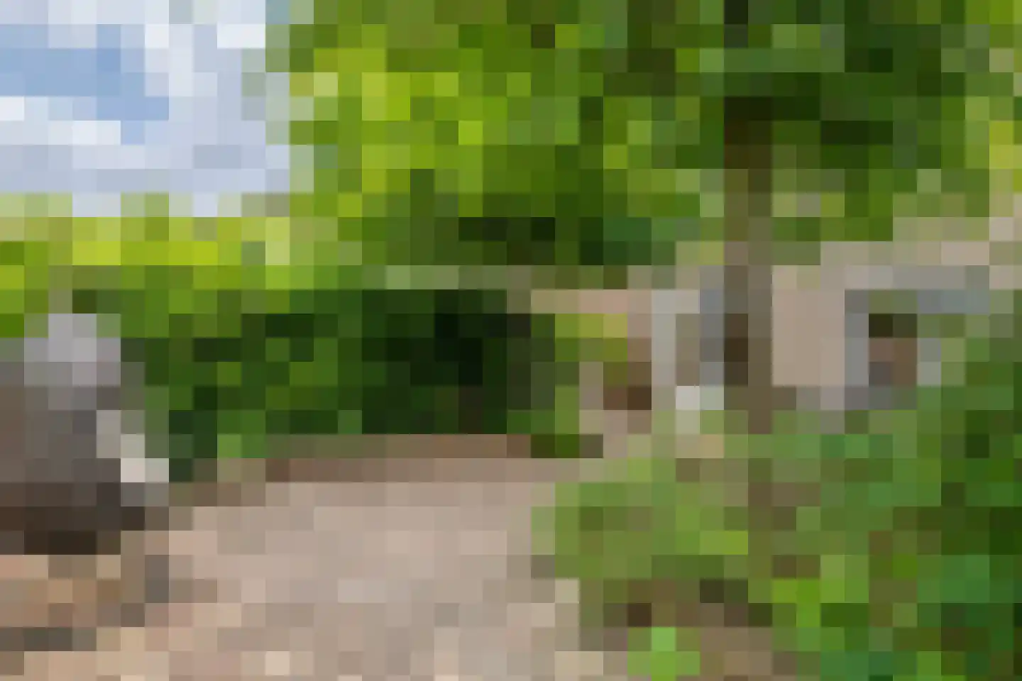 Zonnedauw 94 Tiel thumbnail 34