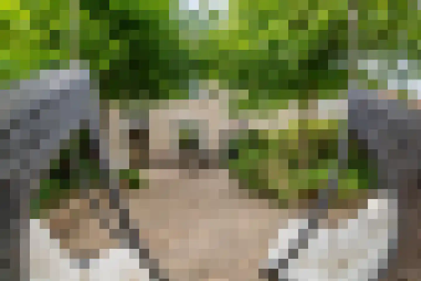Zonnedauw 94 Tiel thumbnail 35