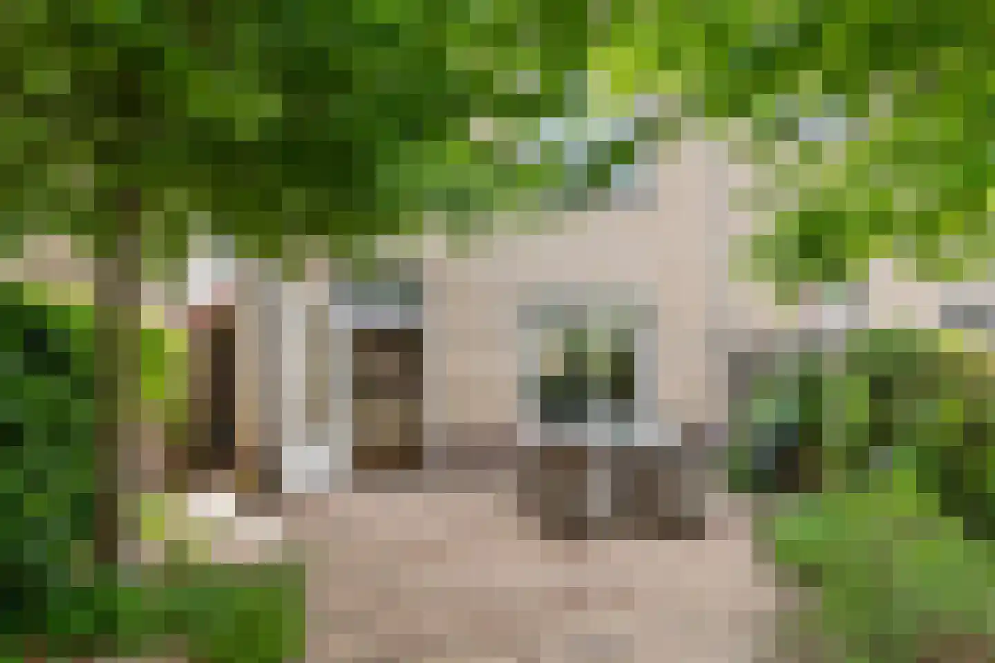 Zonnedauw 94 Tiel thumbnail 36