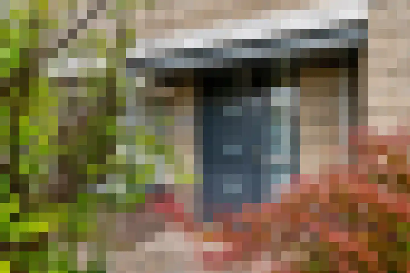 Zonnedauw 94 Tiel thumbnail 4