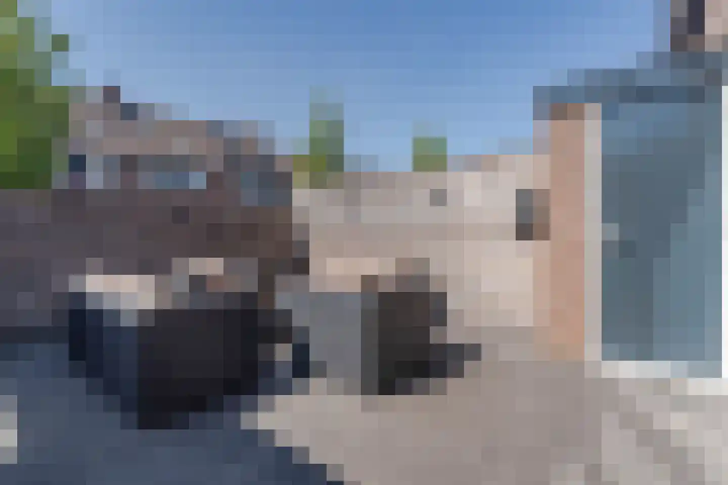 Zonnedauw 98 Boskoop thumbnail 10