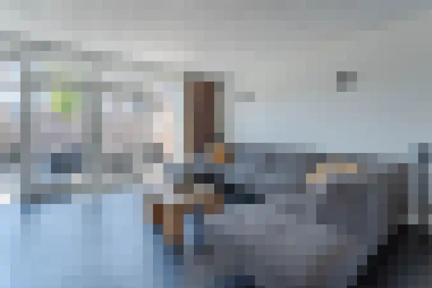 Zonnedauw 98 Boskoop thumbnail 11