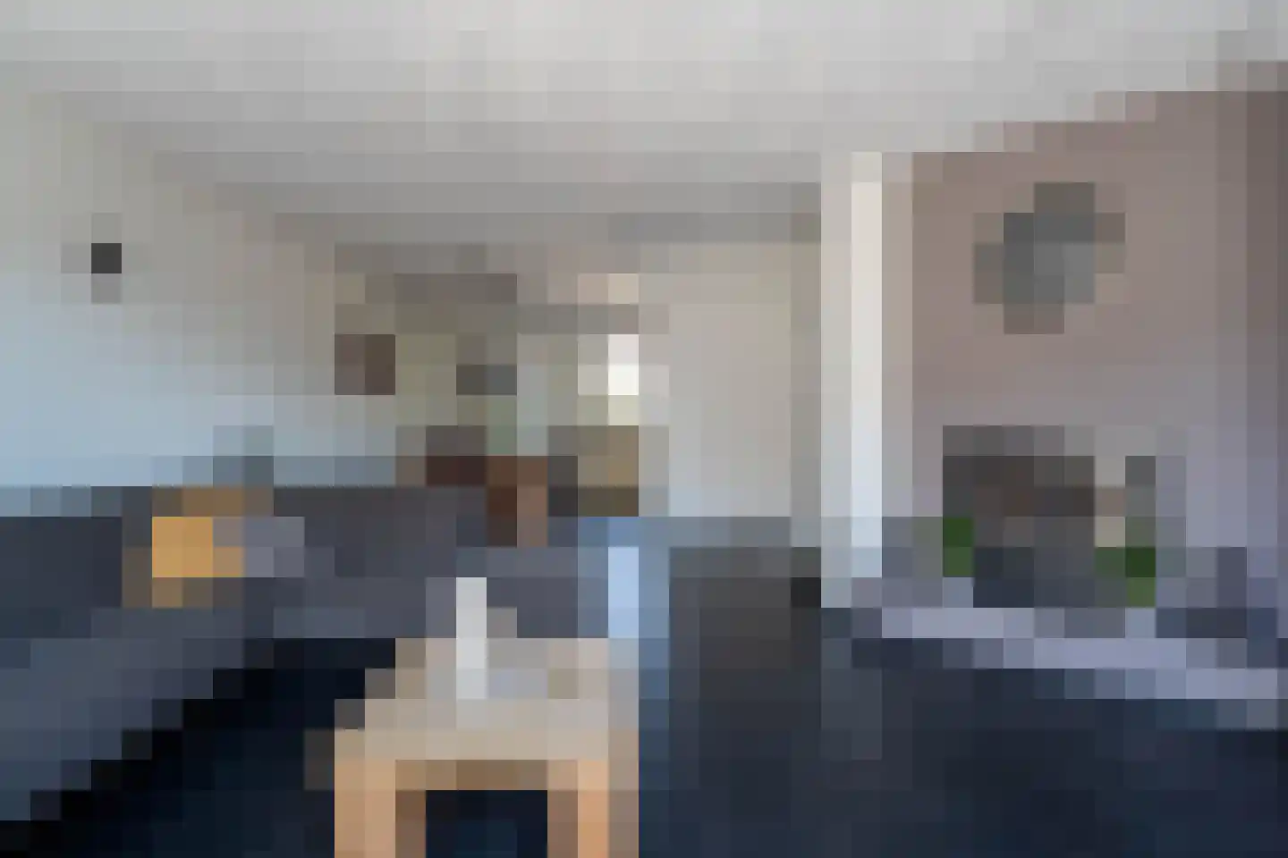 Zonnedauw 98 Boskoop thumbnail 13