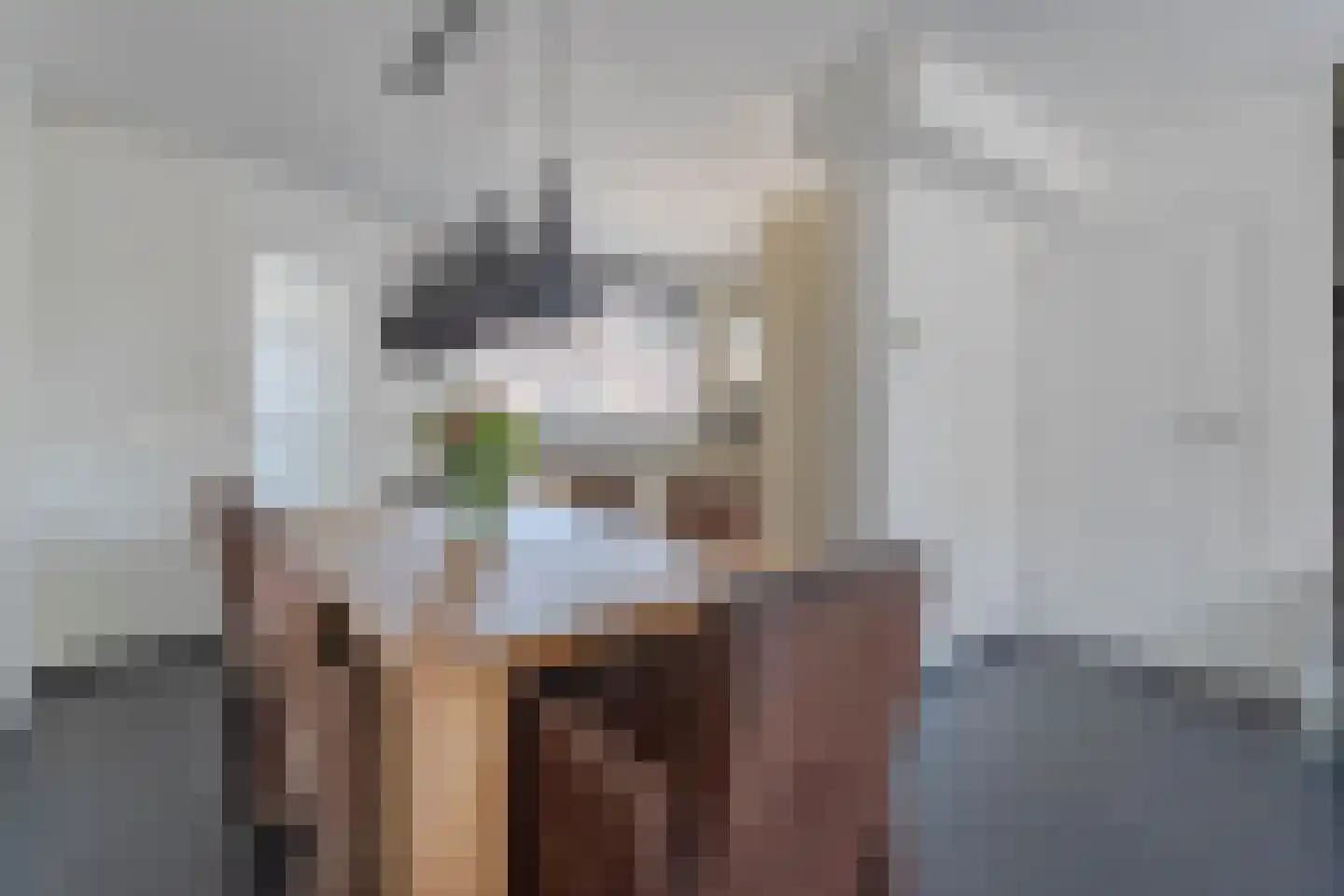 Zonnedauw 98 Boskoop thumbnail 14