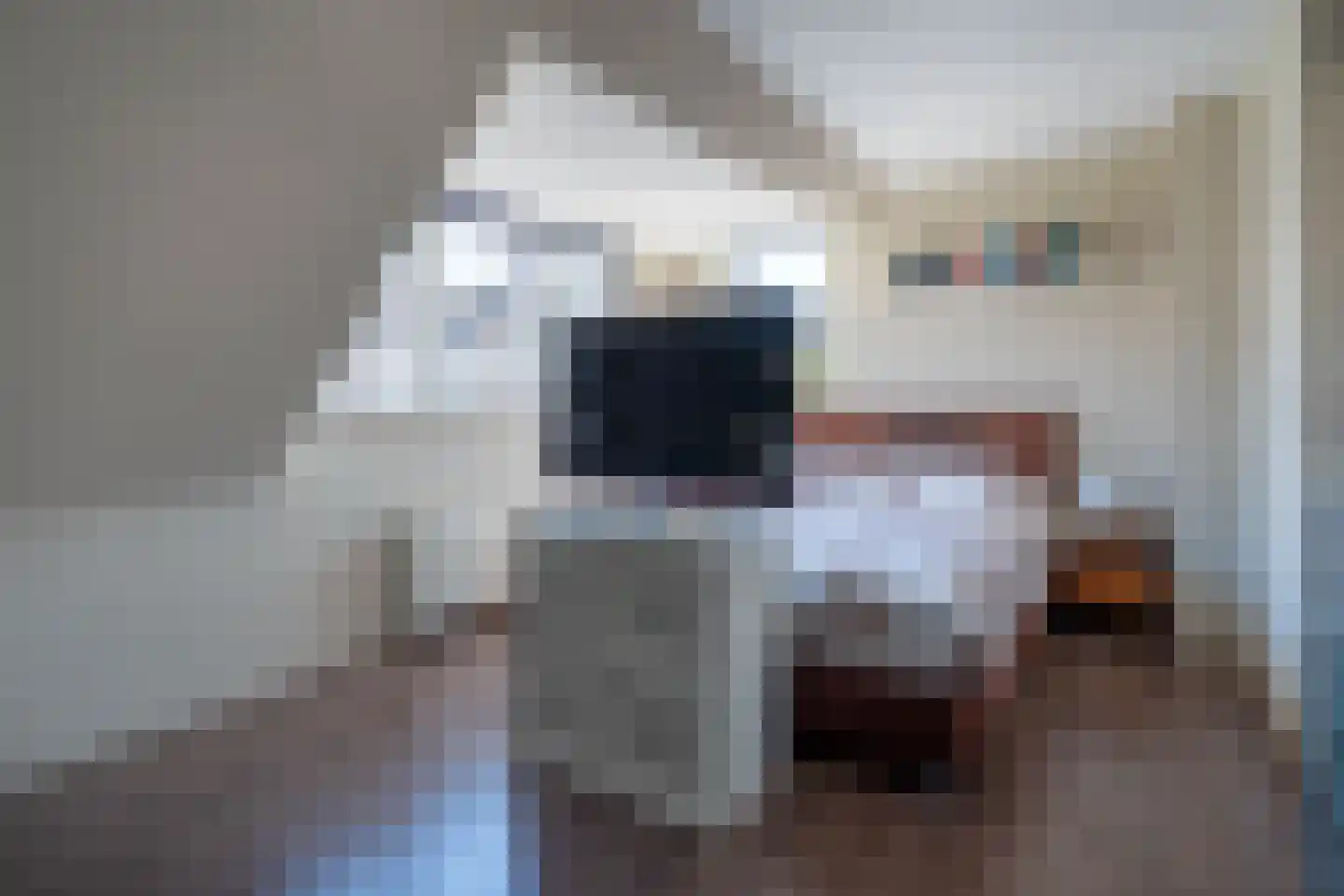 Zonnedauw 98 Boskoop thumbnail 19