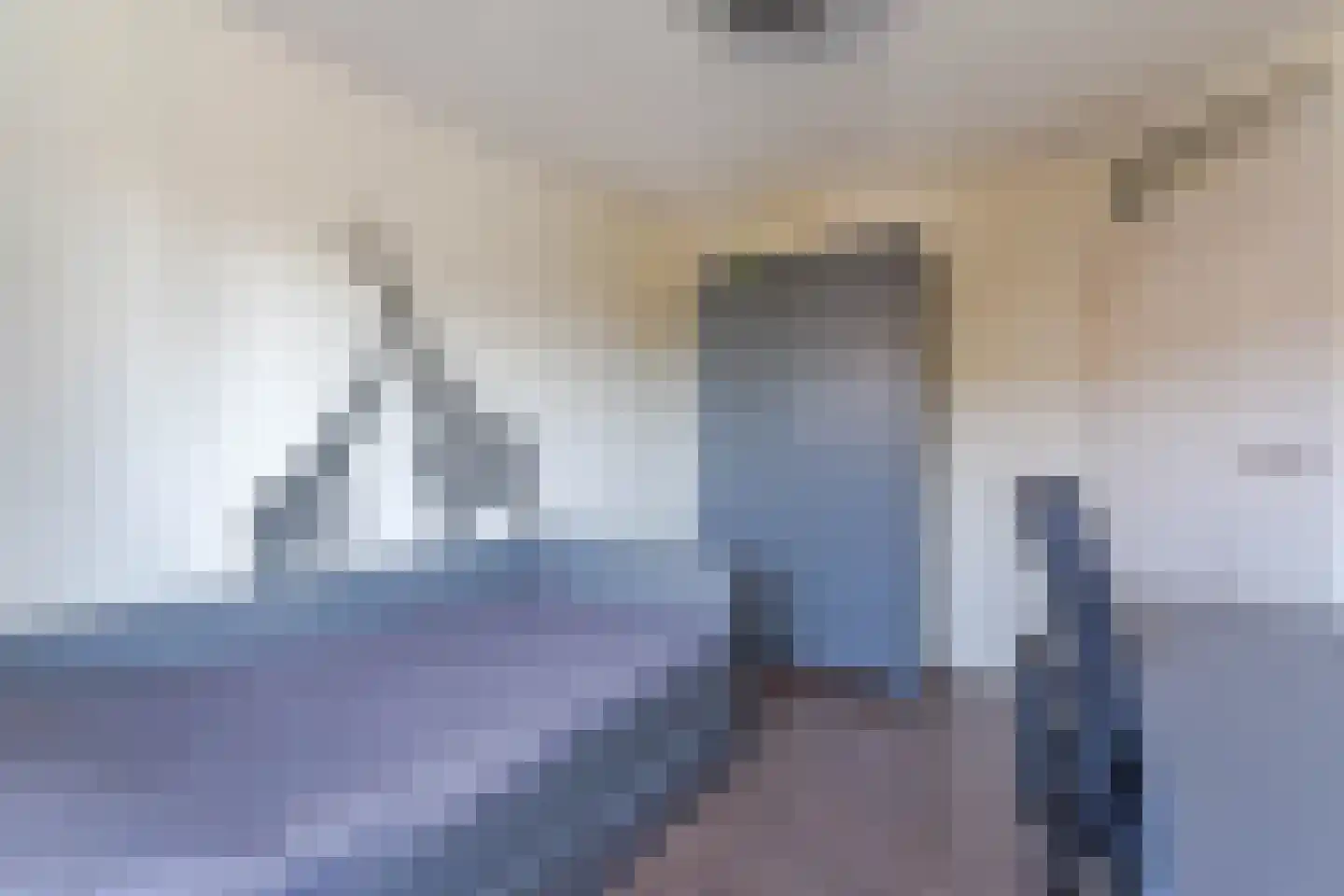 Zonnedauw 98 Boskoop thumbnail 21