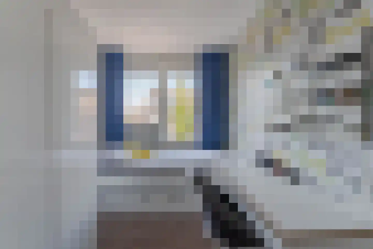 Zonnedauw 98 Boskoop thumbnail 22