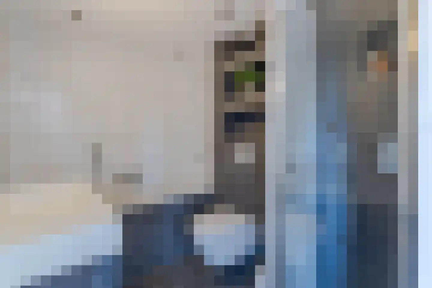 Zonnedauw 98 Boskoop thumbnail 23